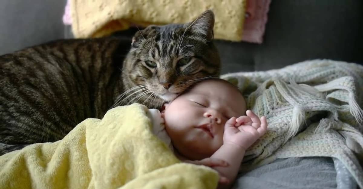 baby sleeping with cat